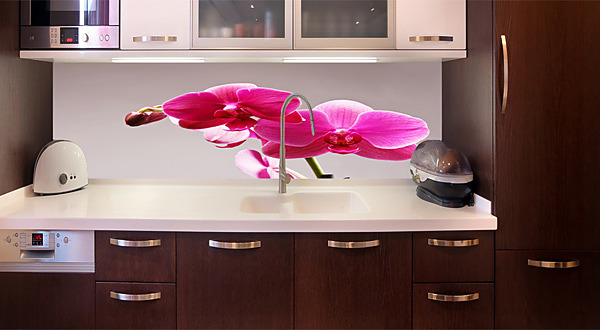 Fototapeta zástěna - Růžový květ orchideje 3146